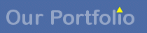 title_portfolio.gif (2693 bytes)